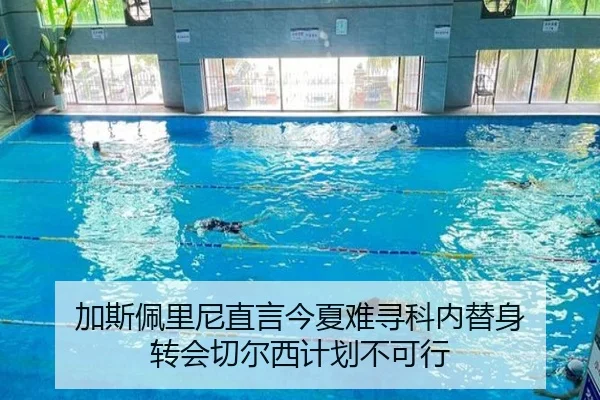加斯佩里尼直言今夏难寻科内替身 转会切尔西计划不可行 - MILANSPORT
